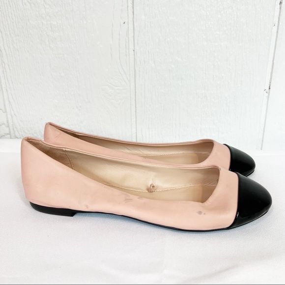 Zara Shoes Zara Trafaluc Pink And Black Flat Dress Shoes Poshmark